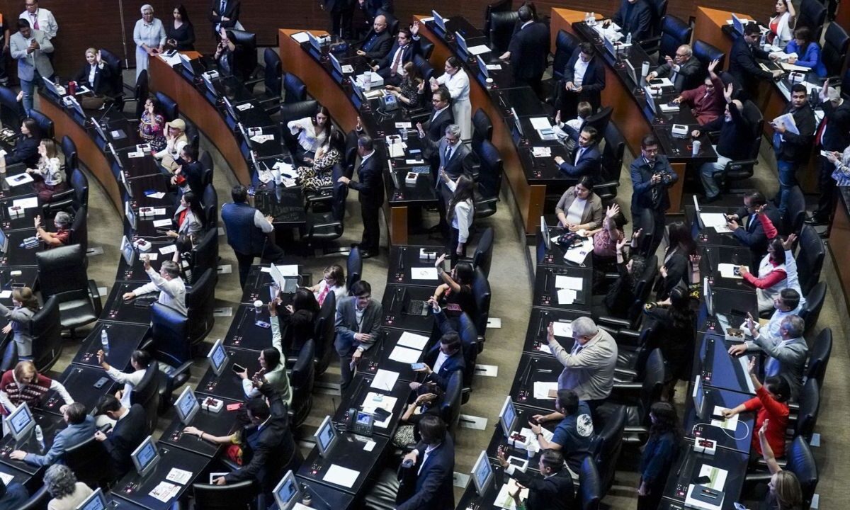 Por unanimidad, el Senado aprobó la reforma a la Ley Federal de Armas.