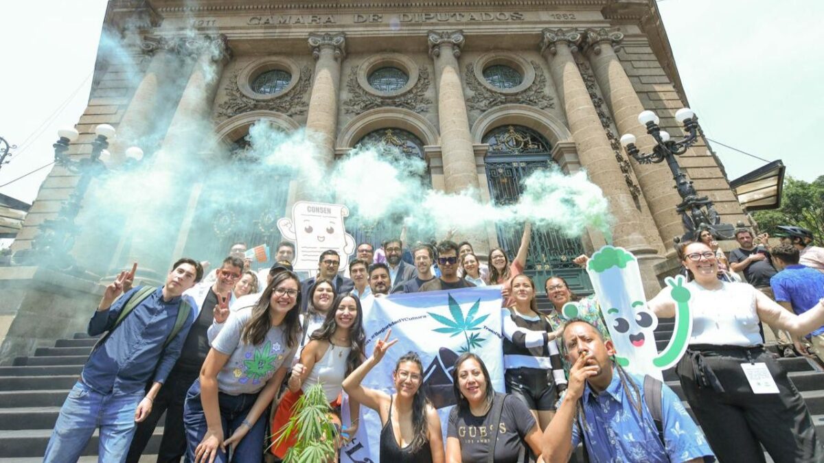 Royfid Torres presentó una iniciativa de Reforma a la Ley de Salud local para no estigmatizar y reducir riesgos en consumidores de cannabis.