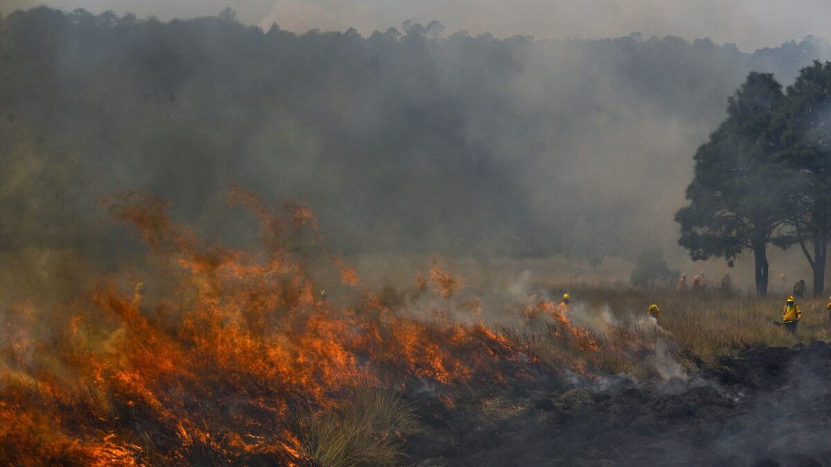 Reporta CNPC 114 incencios forestales activos