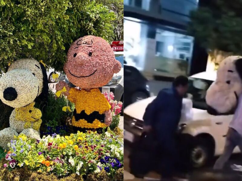 ¿Se roba a Snoopy del Festival de las Flores en Polanco? Video se hace viral