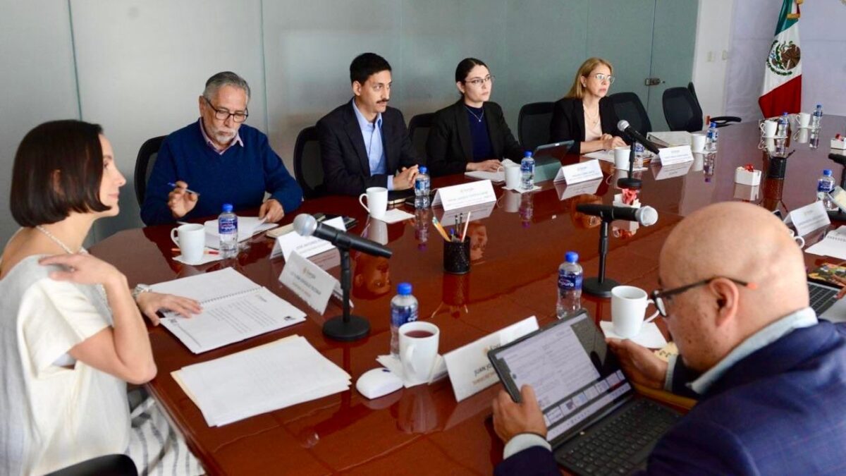 La titular de la Secretaría de Energía, Luz Elena González, informó que se un crea comité de asignaciones y contratos.