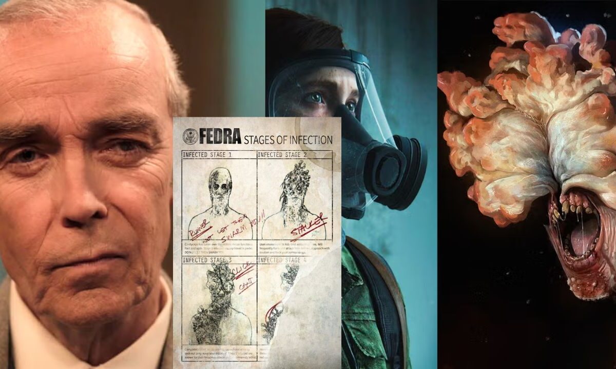 El orígen del Cordyceps es distinto del videojuego y de la serie de The Last Of Us