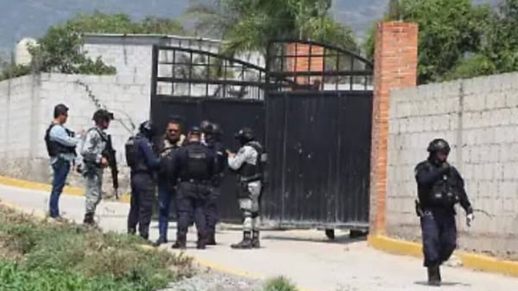 Ultiman a 3 personas en Veracruz; víctimas serían familiares del alcalde de Maltrata. Noticias en tiempo real