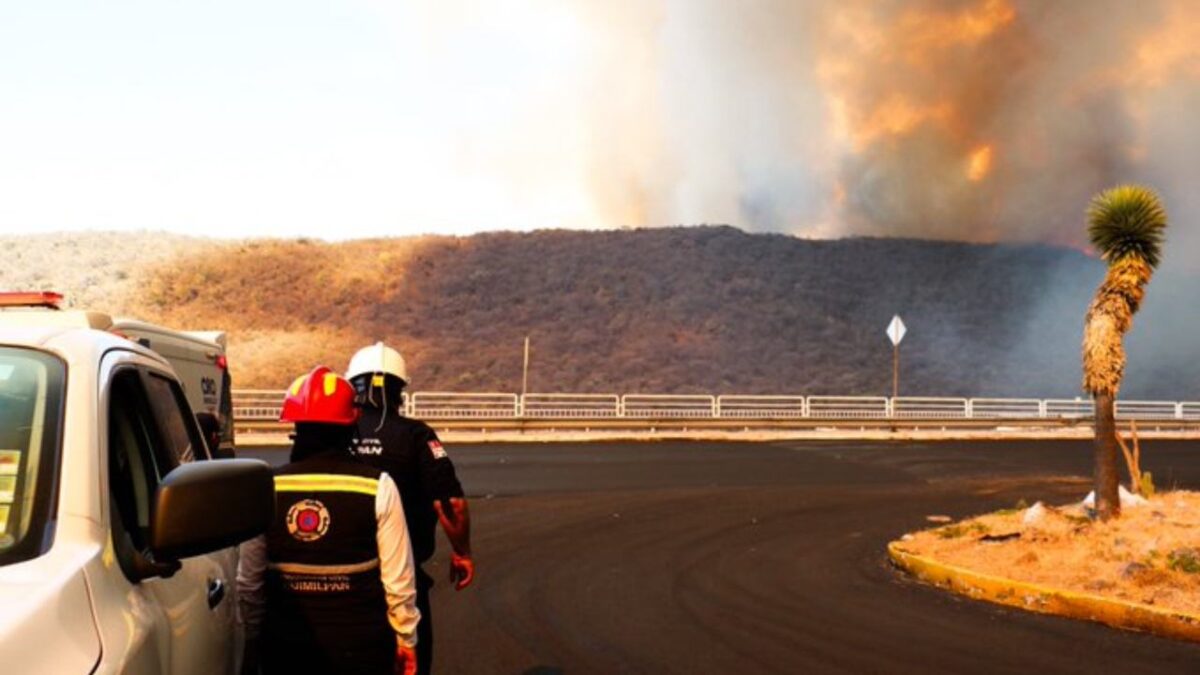 El incendio se originó en la zona cerril de Cumbres del Cimatario, a la altura del municipio de El Marqués.