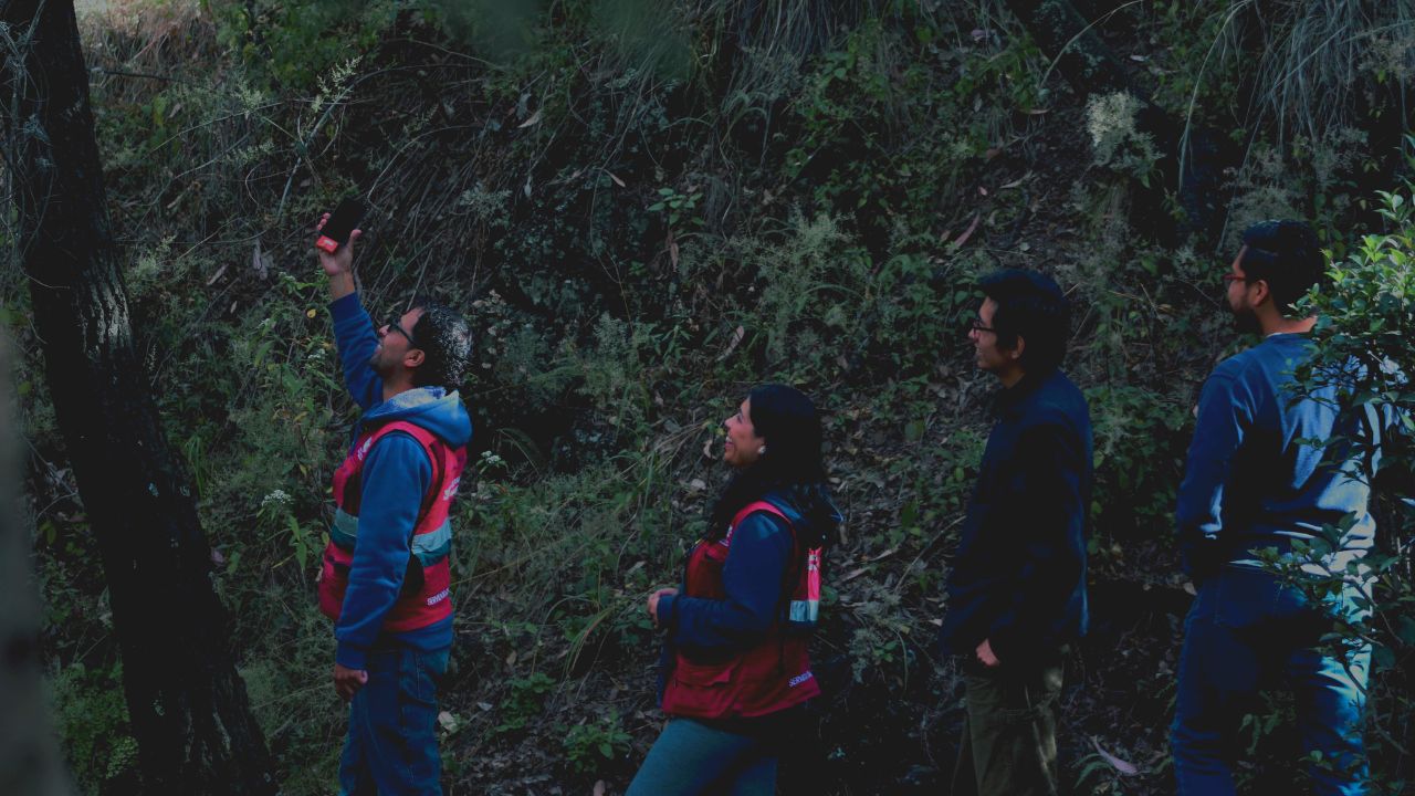 La Sedema convocó a vivir las "Noches de Murciélagos" en Xochimilco, para concientizar sobre la importancia de estos mamíferos.