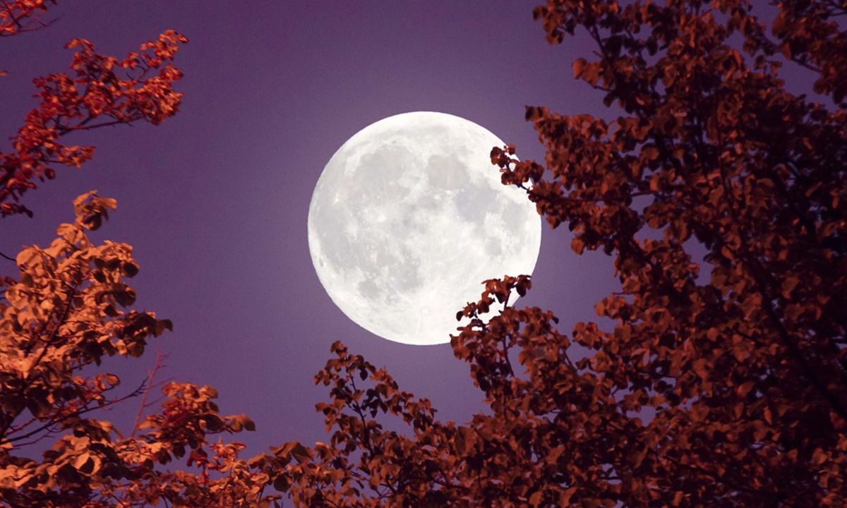 La Luna de Flores’ guarda una profunda relación con los ciclos de fertilidad y cosecha.