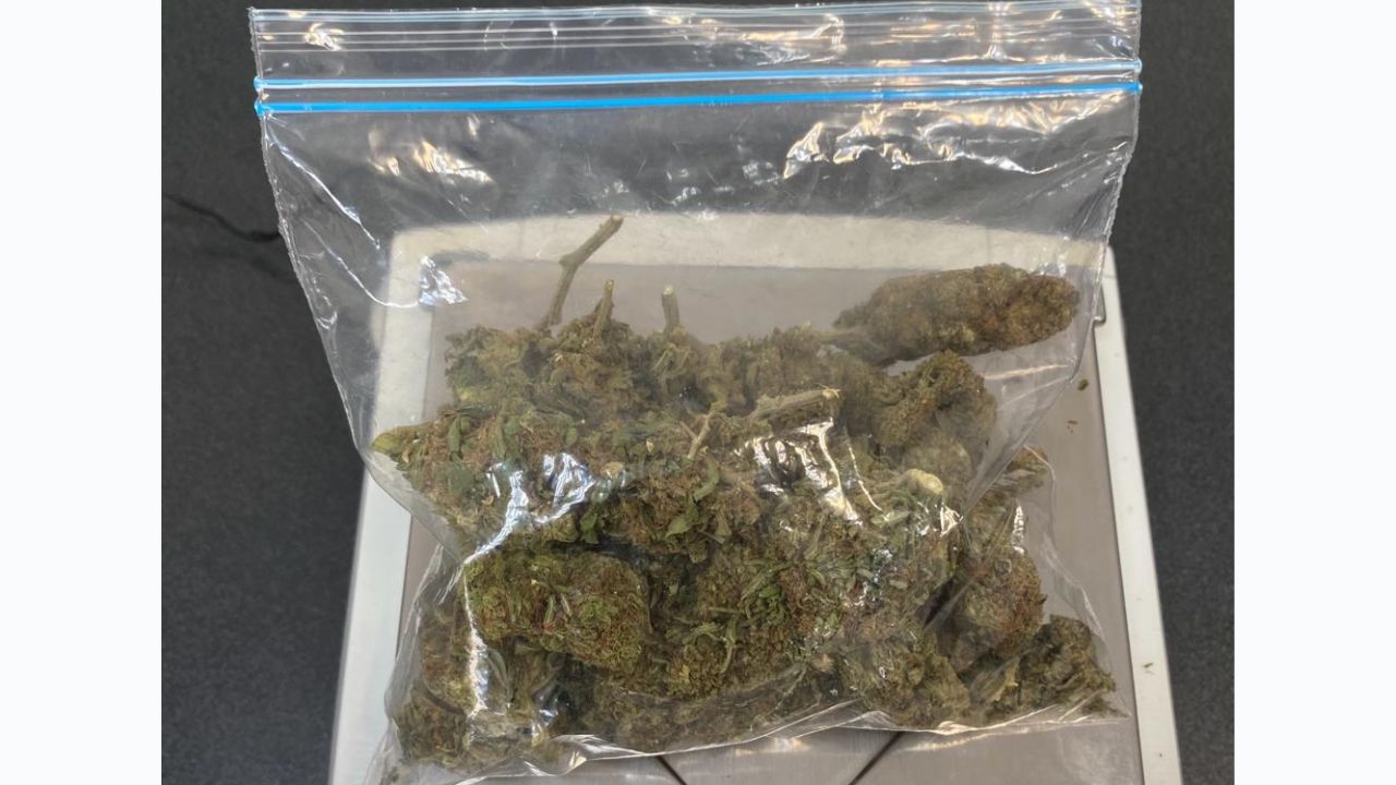 Aseguraron 60 bolsas con cierre hermético que contenían una hierba verde similar a la marihuana