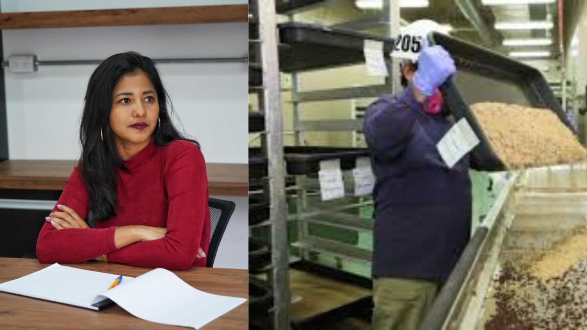 Morena pide reapertura de planta para combatir gusano barrenador