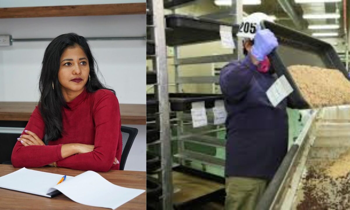 Morena pide reapertura de planta para combatir gusano barrenador
