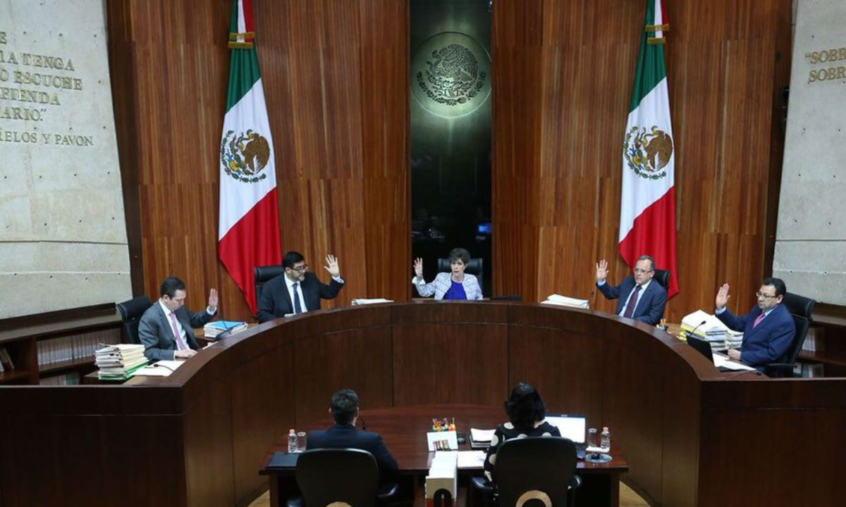 Pide magistrado del TEPJF no dejarse amedrentar por llamados a no votar