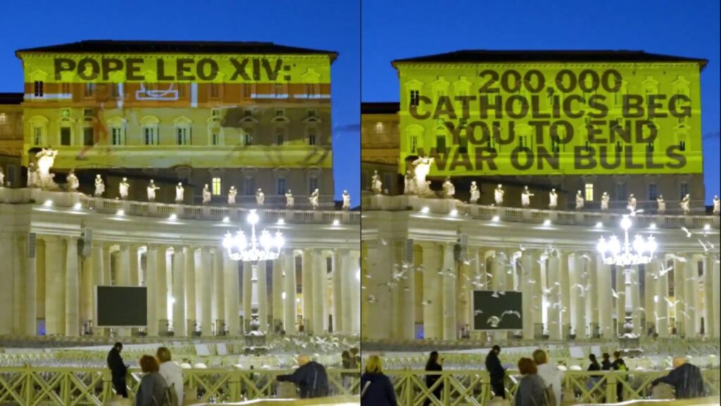 Activistas exigen al Vaticano cortar lazos con las corridas de toros. Noticias en tiempo real
