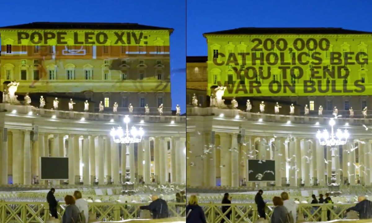 Activistas de PETA exigen al Vaticano cortar lazos con las corridas de toros.