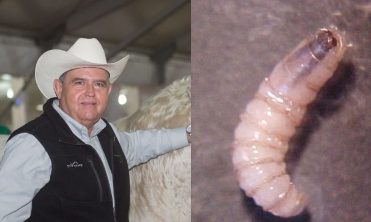 Acuerdan ganaderos medidas para detener crisis de la carne