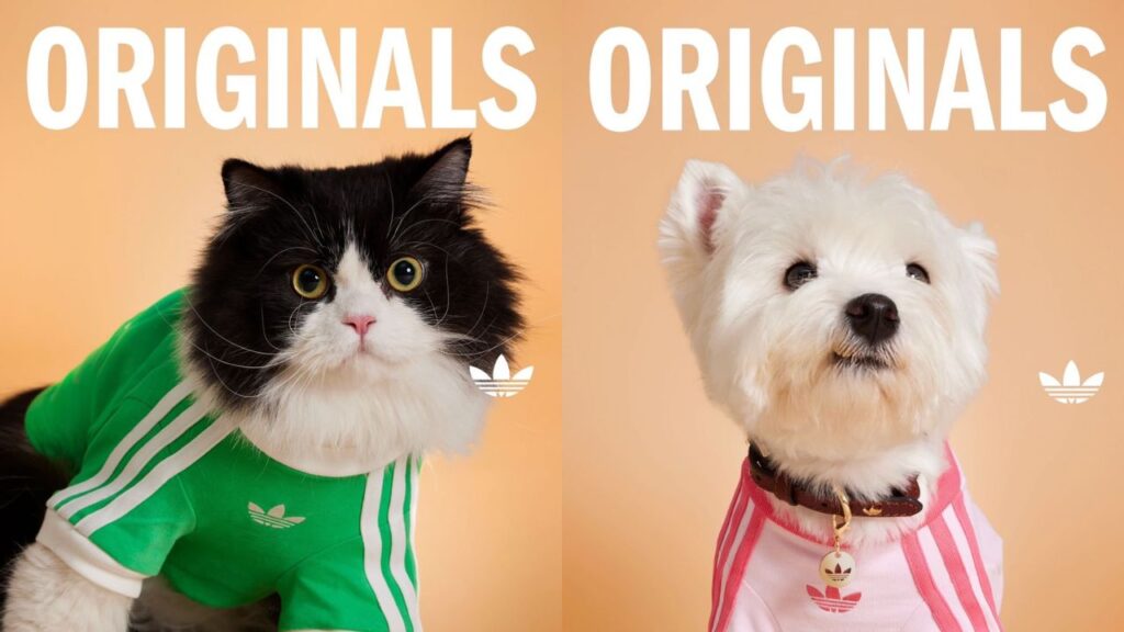 Adidas Originals lanza una colección exclusiva para mascotas. Noticias en tiempo real