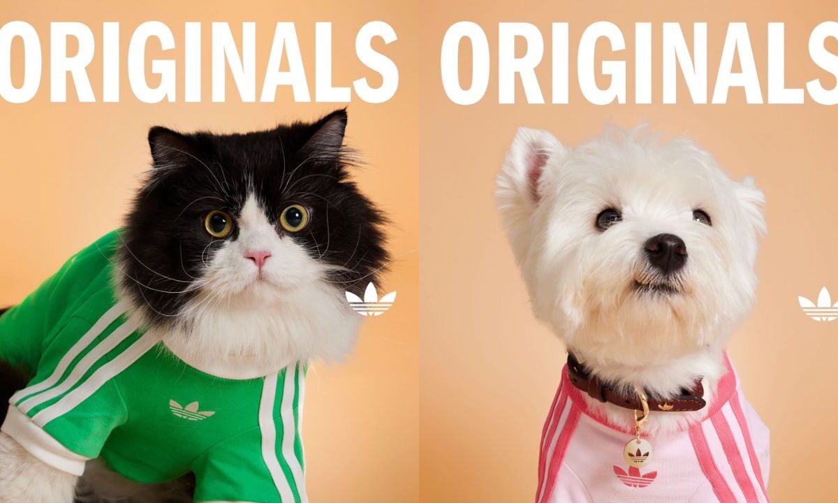 Esta es la nueva colección de Adidas Originals para mascotas