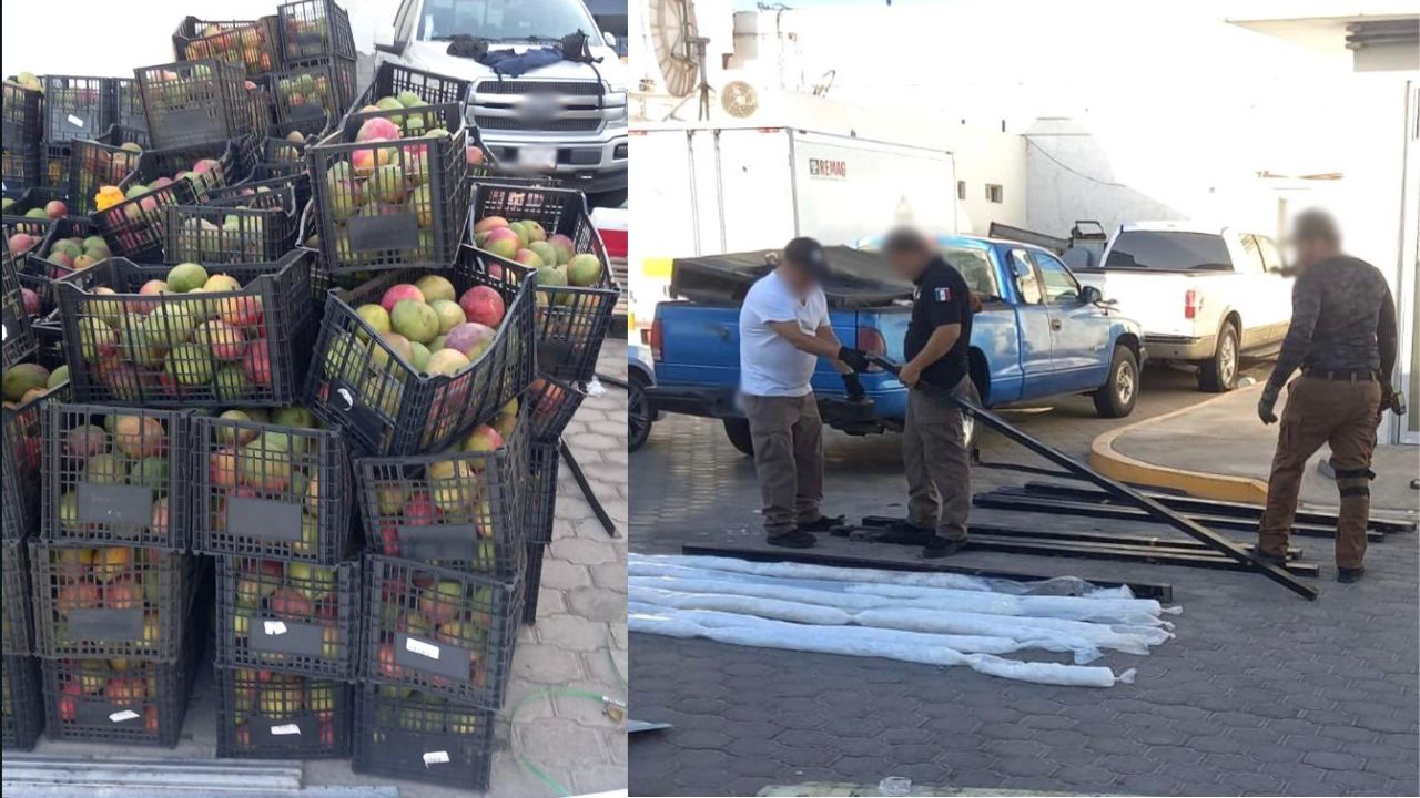 Autoridades aseguraron al menos 340 kilogramos de posible metanfetamina escondida dentro de un tractocamión que transportaba mangos en BC.