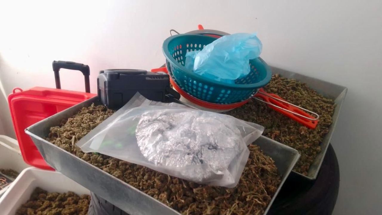 Realizan megacateo en Valle de Aragón por presunta venta de droga