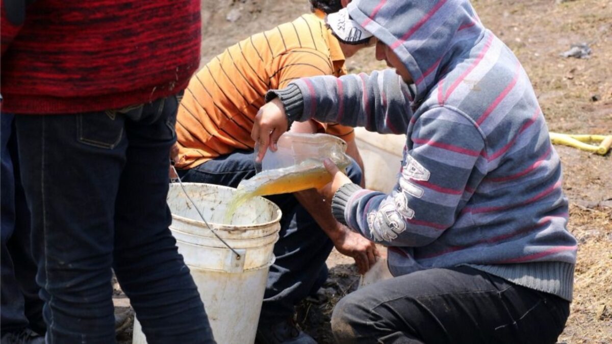 11 elementos de la GN detenidos por temas de huachicol