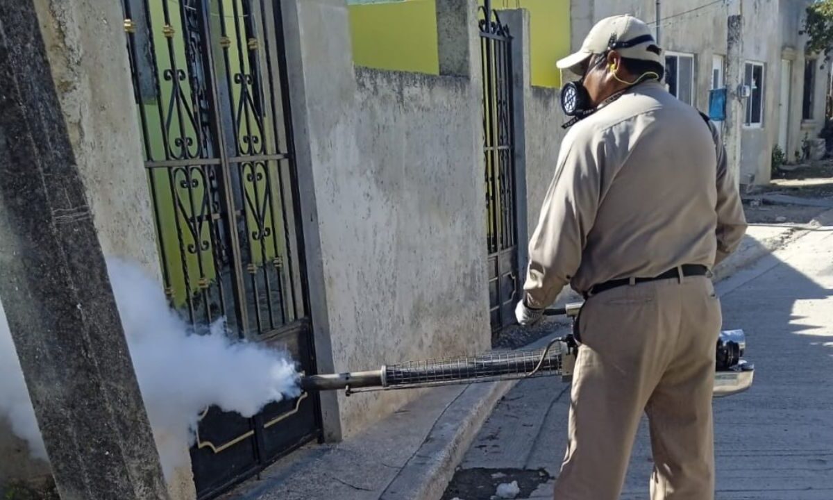 La cobertura contra el dengue se mantiene en los 13 municipios de Campeche con nebulizaciones y eliminación de depósitos de agua.