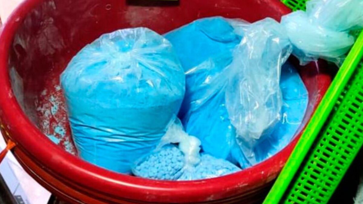 En Baja California, Fuerzas Federales aseguraron 23 mil pastillas de fentanilo en un domicilio del Cártel Jalisco Nueva Generación (CJNG).