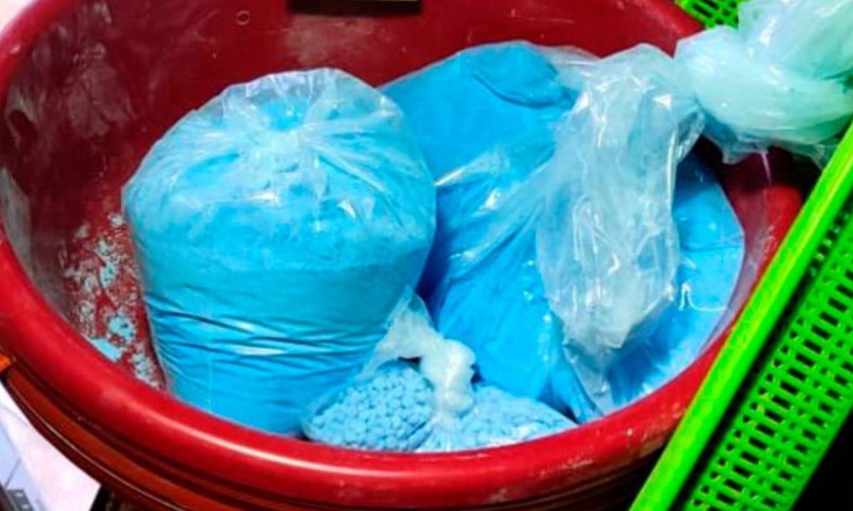 En Baja California, Fuerzas Federales aseguraron 23 mil pastillas de fentanilo en un domicilio del Cártel Jalisco Nueva Generación (CJNG).