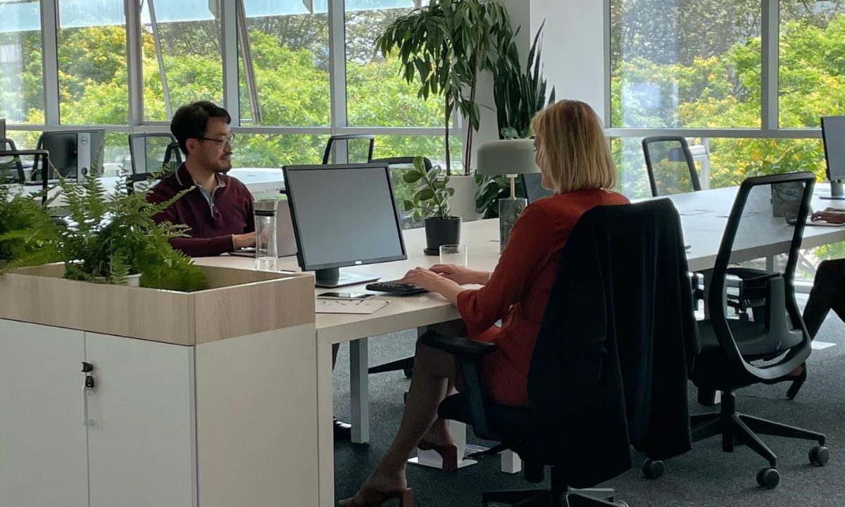 Falta de inversión frena empleo: BBVA