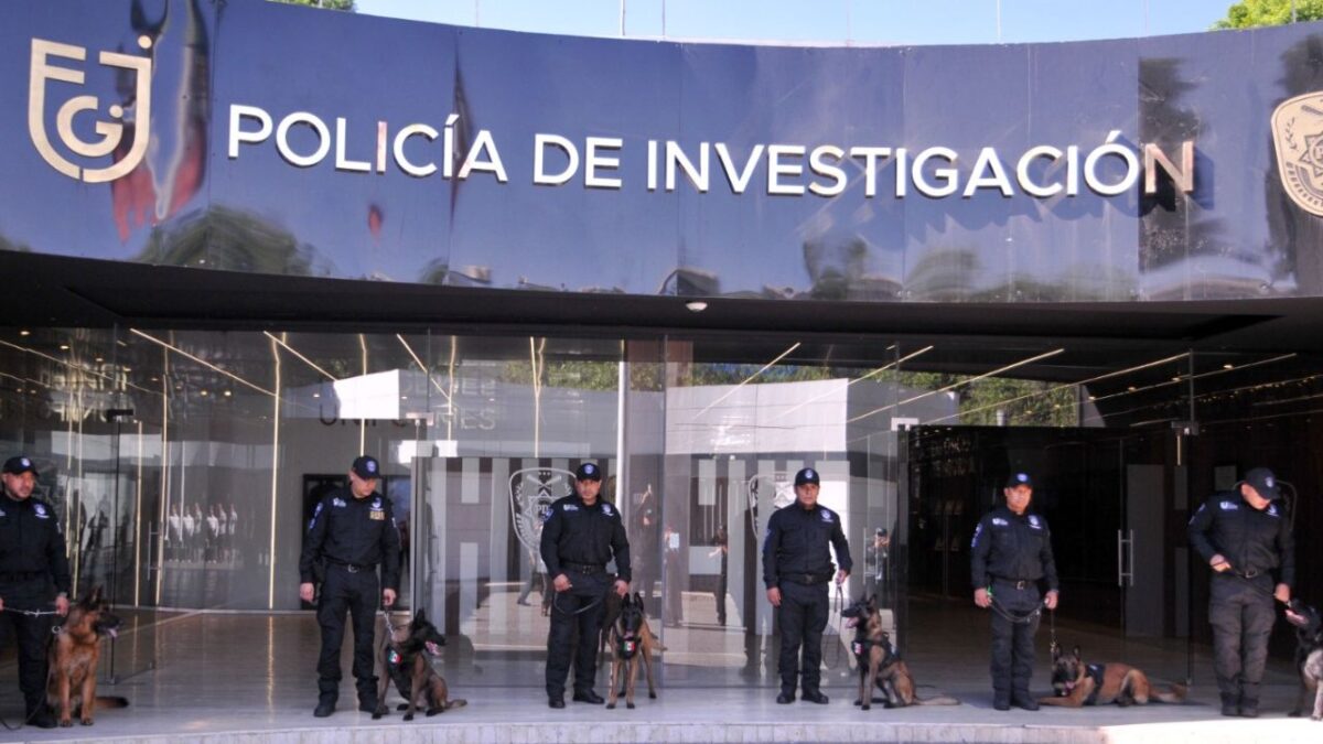 Fiscalía CDMX presenta nuevos elementos caninos: Boss y Thor