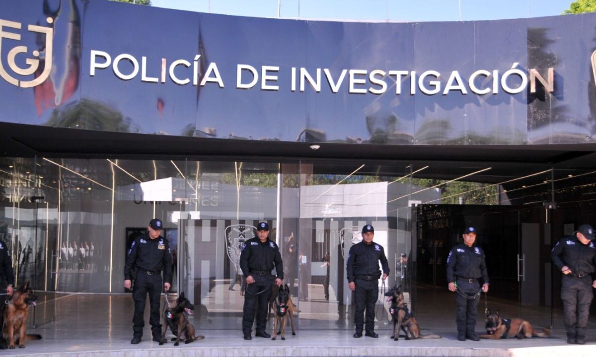 Fiscalía CDMX presenta nuevos elementos caninos: Boss y Thor