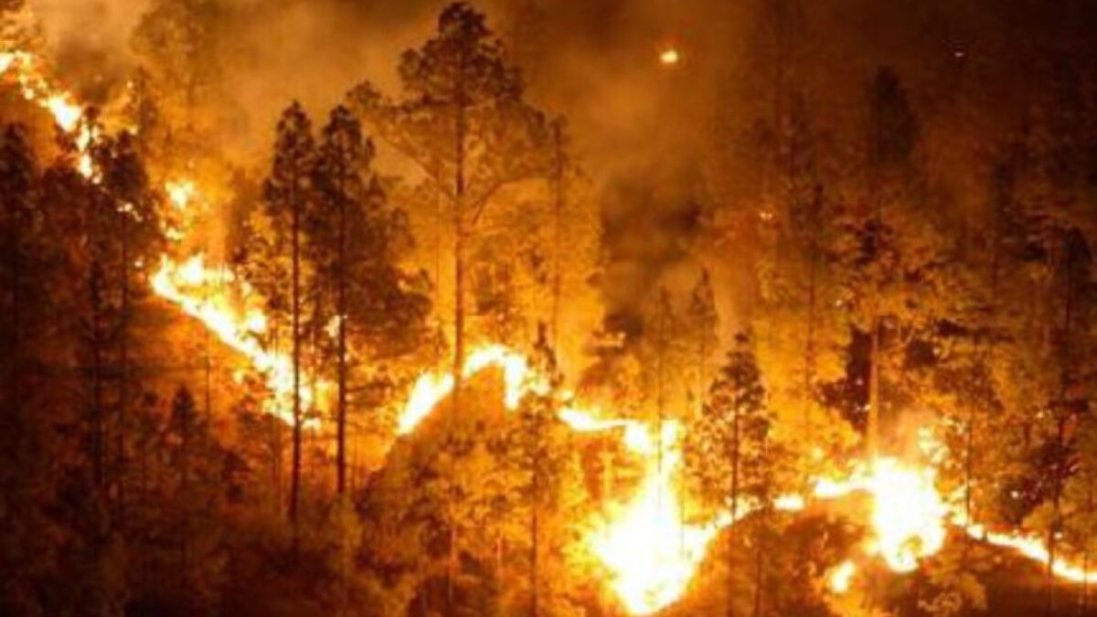 Guerrero, segundo lugar en incendios forestales