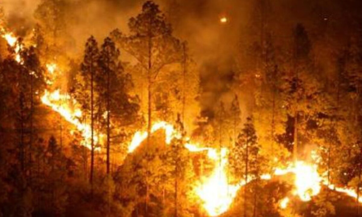 Guerrero, segundo lugar en incendios forestales