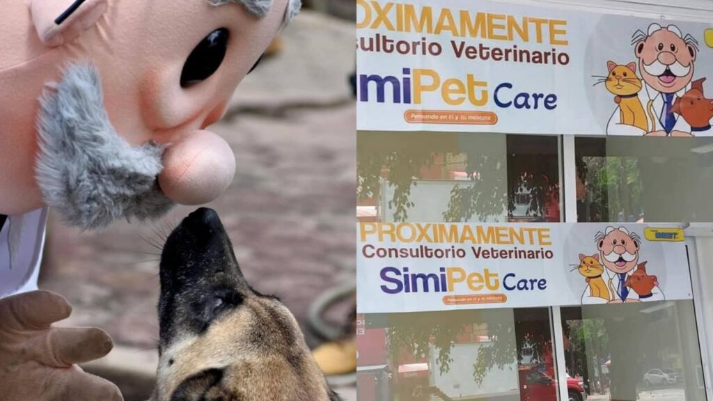 ¿Habrá “SimiPet Care” de Farmacias Similares? Esto sabemos. Noticias en tiempo real