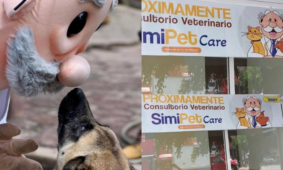 Algunos se cuestionaron si Farmacias Similares atenderá animales con una veterinaria llamada “SimiPet Care” aquí lo que sabemos.