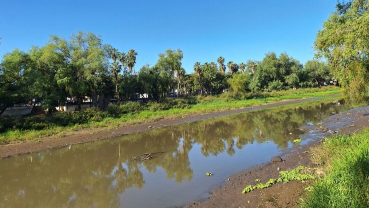 Muestras de microplásticos se detectaron en las aguas del río.