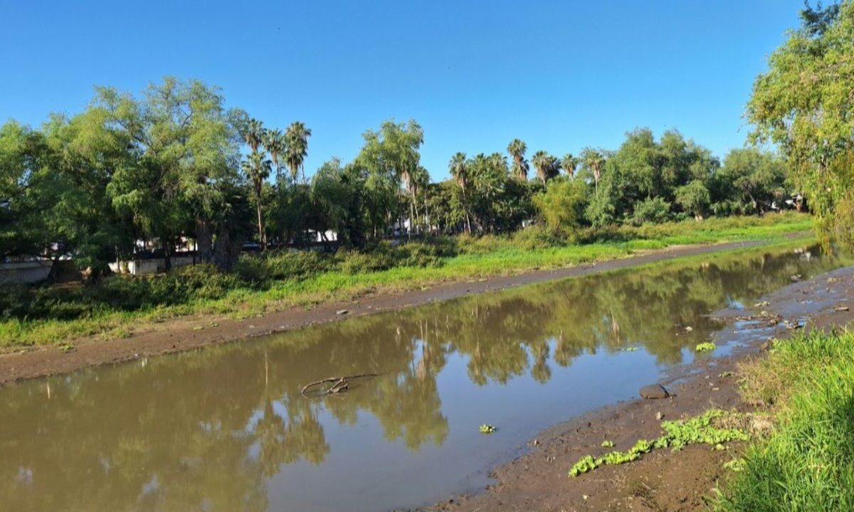 Muestras de microplásticos se detectaron en las aguas del río.