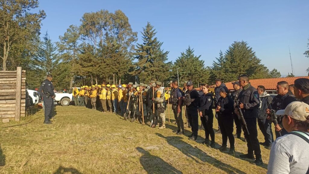Incendio alcanza zona de biosfera de la mariposa monarca, en Michoacán. Noticias en tiempo real