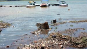 Los afluentes también contienen heces fecales y tóxicos; 900 partículas de microplásticos se han detectado en tan solo medio litro de agua