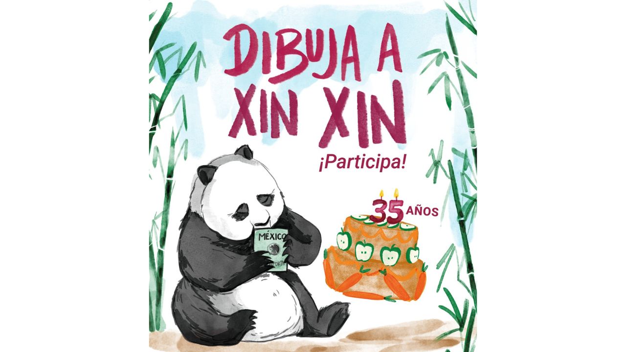 Autoridades de la CDMX invitan a celebrar 35 años de Xin Xin con dibujos y colores.