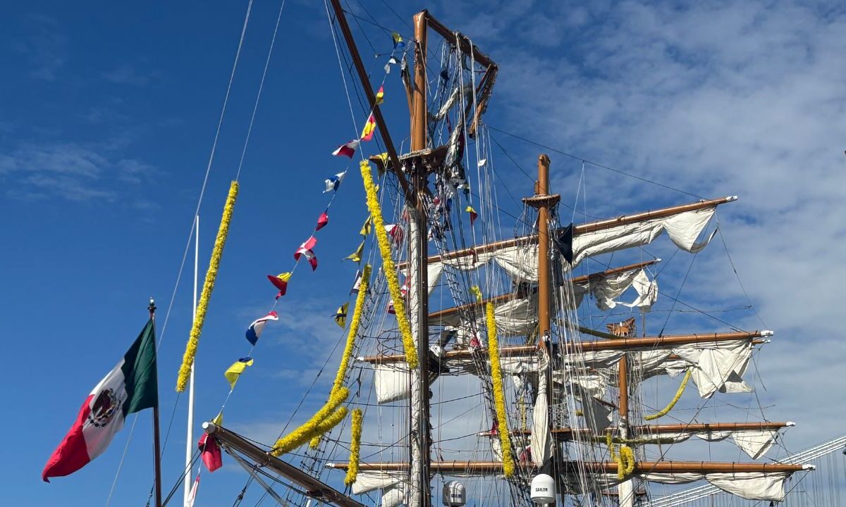 Tras la colisión del buque Cuauhtémoc con el Puente de Brooklyn, en Nueva York, Noemí Luna, vicecoordinadora del PAN en la Cámara de Diputados, hizo un llamado a Claudia Sheinbaum, como Jefa Suprema de las Fuerzas Armadas, a que informe detalladamente la situación del personal, unidades e infraestructura con los que se opera, ya que se presume que hubo una pérdida de potencia del “Cuauhtémoc”, la cual pudo ser causada por falta de mantenimiento.
