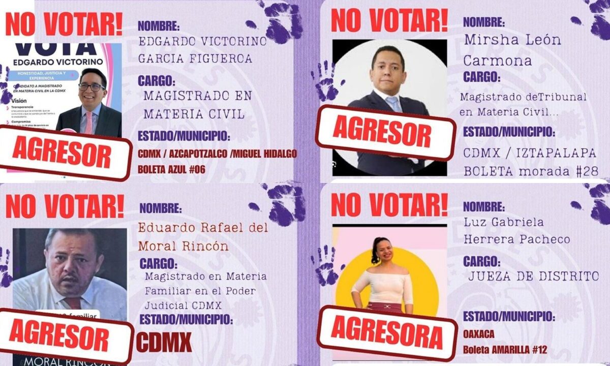 La organización Adivac que se enfoca en agresiones sexuales lanzó diversas antiboletas de cara a la elección del Poder Judicial, denunciando a candidatos como “agresores”.