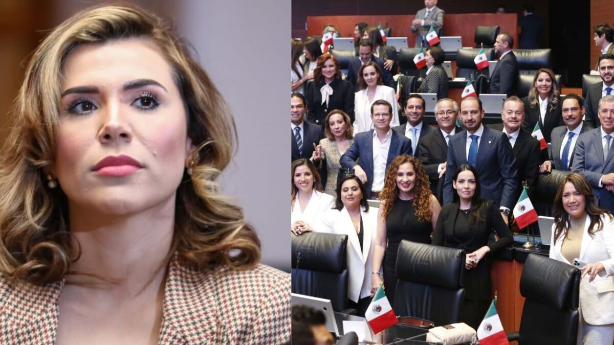 PAN aboga por Marina del Pilar por pérdida de Visa