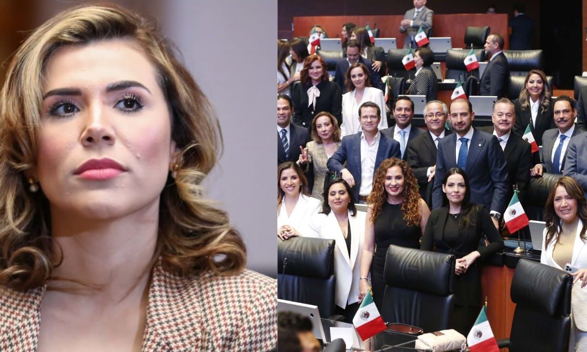 PAN aboga por Marina del Pilar por pérdida de Visa