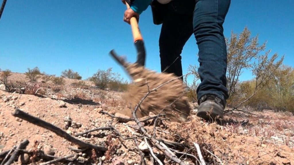 Suman 7 osamentas localizadas en fosas de Bahía de Kino y de Hermosillo, Sonora. Noticias en tiempo real