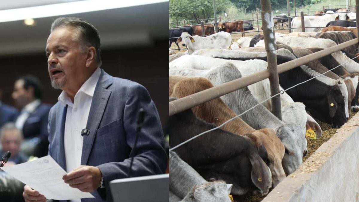 El senador del PAN, Mario Vázquez, hizo un llamado urgente al gobierno federal para cerrar la frontera sur por gusano barrenador.