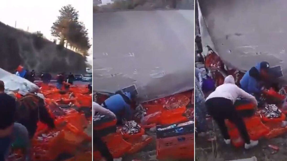 Personas realizan la famosa rapiña tras la volcadura de un tráiler en la Toluca-Atlacomulco; se llevaron pan y galletas.