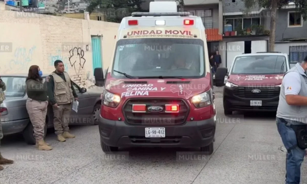 Rescatan a más de 20 animales en situación de maltrato en Ecatepec