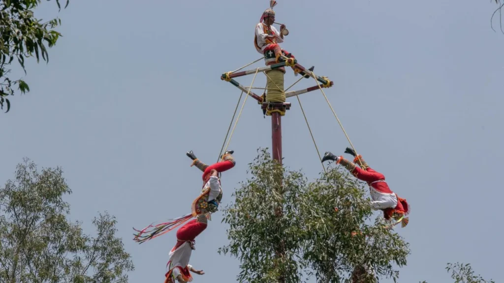 Caen 5 voladores de Papantla en Tihuatlán; palo ceremonial colapsa . Noticias en tiempo real