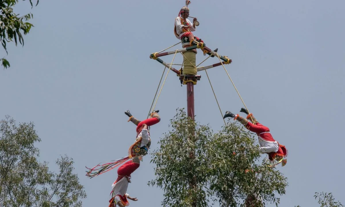 Voladores de Papantla caen al suelo tras colapso de palo ceremonial