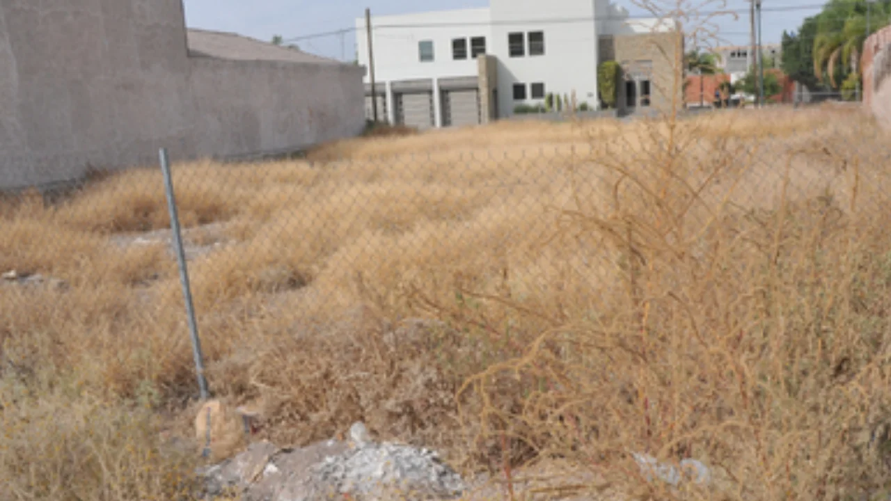 Delegada de Chimalhuacán invade terrenos y casas en Lomas de San Pablo