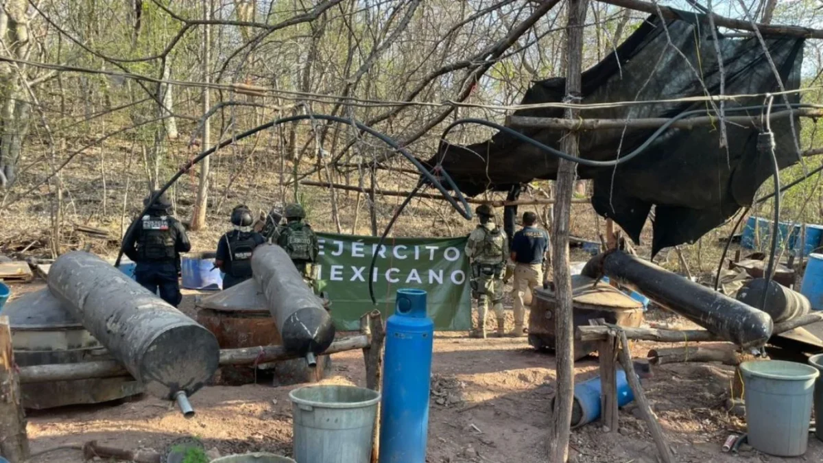 Fuerzas federales aseguran narcolaboratorio en Huétamo