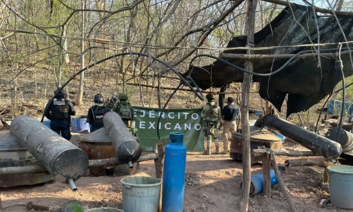 Fuerzas federales aseguran narcolaboratorio en Huétamo